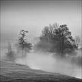 Dedham Vale Mist - 3 by David Kelly